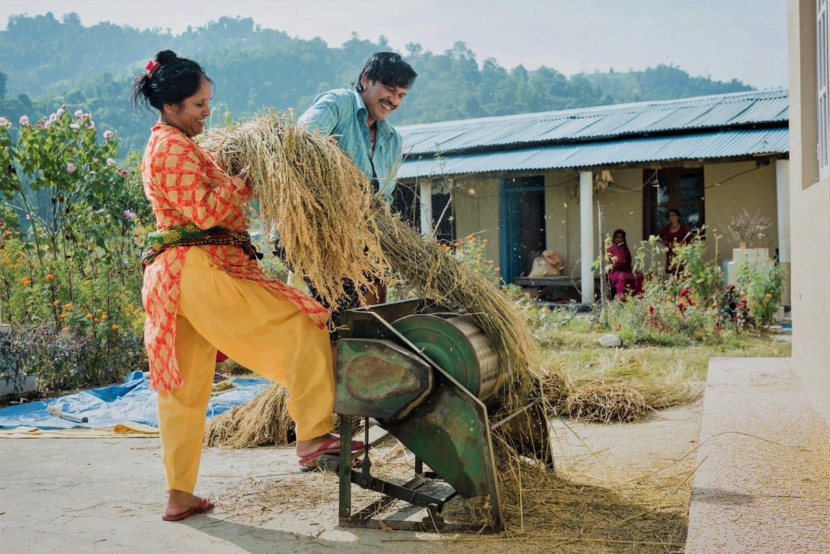 WinrockIntl's tweet photo. It used to take Gyanu a full day to thresh 200 kilograms of rice by hand. Now, she can process that amount in 30 mins! The @FeedtheFuture KISAN II project, implemented by Winrock, partners with private cooperatives to #EmpowerWomen in #Agribusiness. #AgTech @USAIDNepal #IWD2020 https://t.co/WZPoNMkru5