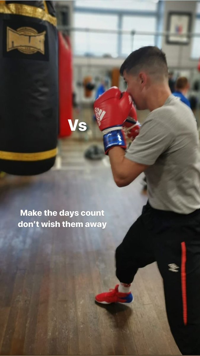 adidas adipower boxing gloves