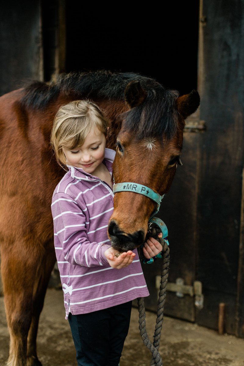 Horse owners may be facing an “Armageddon” of wormer resistance if we do not take urgent evasive action, according to Dave Rendle at the <a href="/NatEqForum/">NationalEquineForum</a>. #healthcare 

bit.ly/2xofdW5
