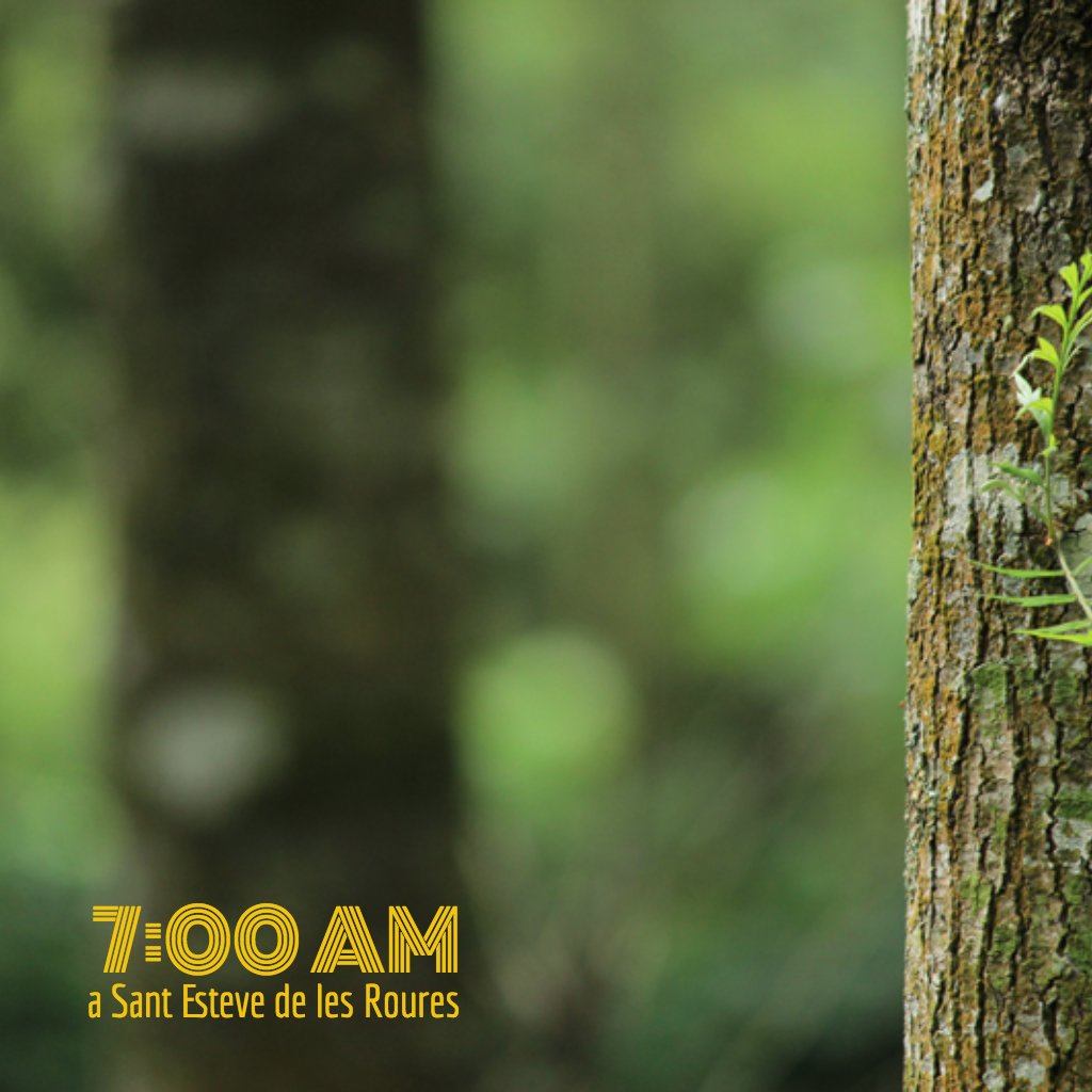 Bon dimarts rourencs. Són les set!