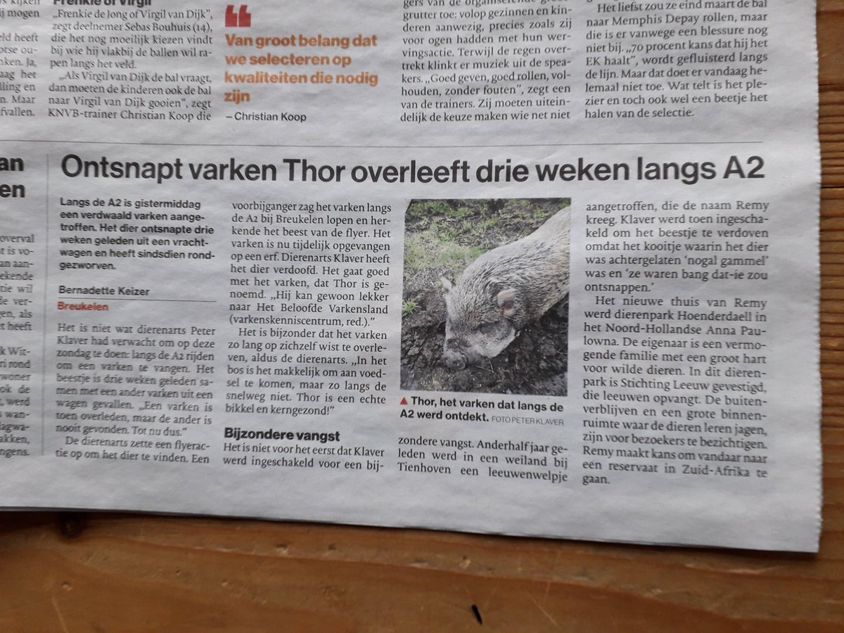 Thor een sterke naam en overlever?