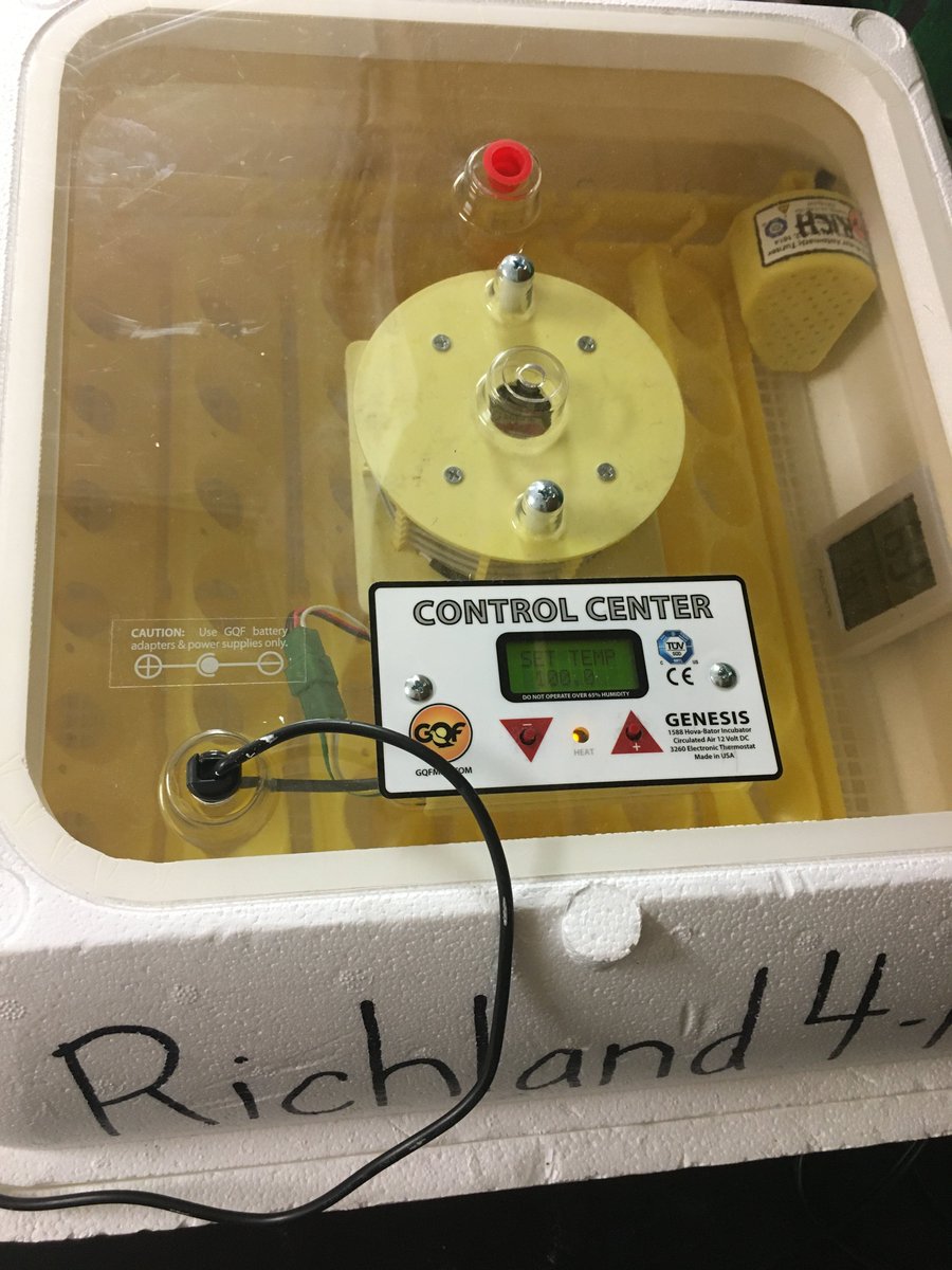 rgreiner206's tweet photo. Thank you @RosemaryClemson for the Chicken Egg Hatching Project. @ms_pautz and I as well as the students @LongleafMiddle @ZooBotLMS are excited to hatch some new family members in the class. https://t.co/EeK9yoZuuT