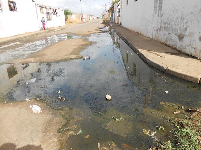 SoyNuevaPrensa's tweet photo. Agua negras “adornan” las calles de la UD 338 - https://t.co/vfx38QswZt
#SoyNuevaPrensa #AguasNegras #UD338 #Featured #Gente #Guayana https://t.co/j3r22YZfQ3