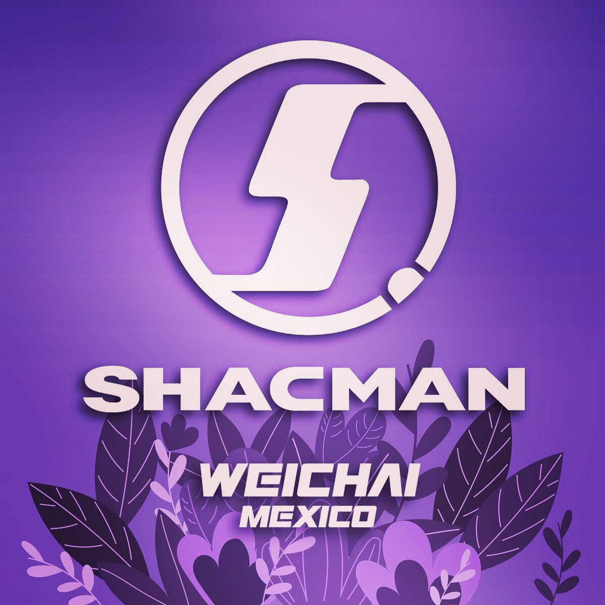 SHACMAN y WEICHAI MEXICO se solidarizan con las mujeres en contra de la violencia de género, a favor de la inclusión y la igualdad.