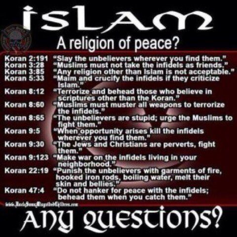 MarlaineDettlo1's tweet photo. @traveler002 @History27361891 @scampbell123451 @davidf4444 @vicksiern @Lynda63986855 @Quin4Trump @jdolce9 @fedagentmark @Big_crusher1000 @kit_bramat @Shaun_Girk @MemeMercenary @jan_aurora @ChrisPBaconLT @ScottRickhoff @TheWickerhead @Jamie32377541 @stand4honor @establishmentno @RosaWal90673631 @Rosemar06585176 @robcarlson20 @jjpalmer2015 @ISafeyet @RemiDSS @ALEXNEWMAN_JOU @WMRDC @libertytarian @ddwiese @PAMsLOvE @deancain @BrianHanes4 @kbr_kag @Lots_Of_Fun_69 @BILLHALES88 @seecyn5858 @Brooke_Kelly87 @Duwayn55629746 @spinson7746 @cmccbyfaith @MacShiver @WagonKnoggin @PatriotBrwnEyes @mamoobonnie @bmickeydanger @kay89266490 @usvetram @redwins3_first @gatewaypundit Muslims have taken over &amp; destroyed many Countries!
Since they are a danger &amp; have INVADED our Country, we need to KICK THEM ALL OUT!!   Theres not 1 good thing about ANY of them!  👇👇 https://t.co/wQH8NxWXfG