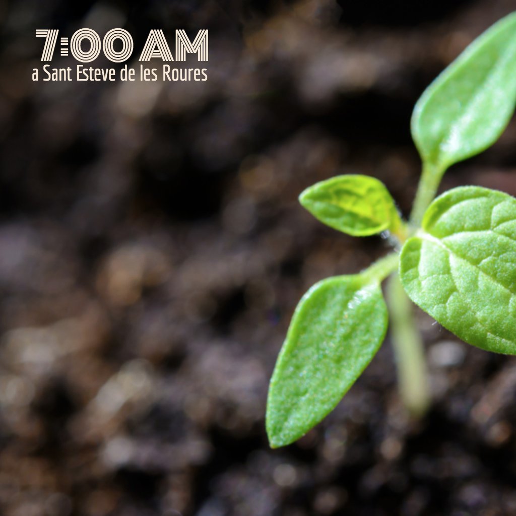 Bon divendres rourencs. Són les set!