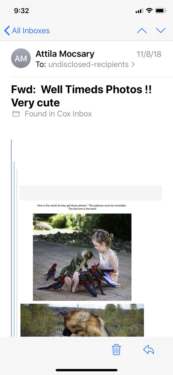 a few times a week my 90 yr old Hungarian great uncle emails my family memes so I thought I would share a couple