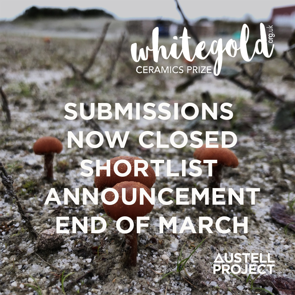 Thank you to all that entered into the International Prize 2020. We are expecting to announce the shortlist at the end of March, final winners at the end of May. Check out details of our jurors at whitegold.org.uk/international-… @edenproject 
<a href="/cornwall_mining/">Cornwall Mining All.</a>
<a href="/neil_brownsword/">Neil Brownsword</a>