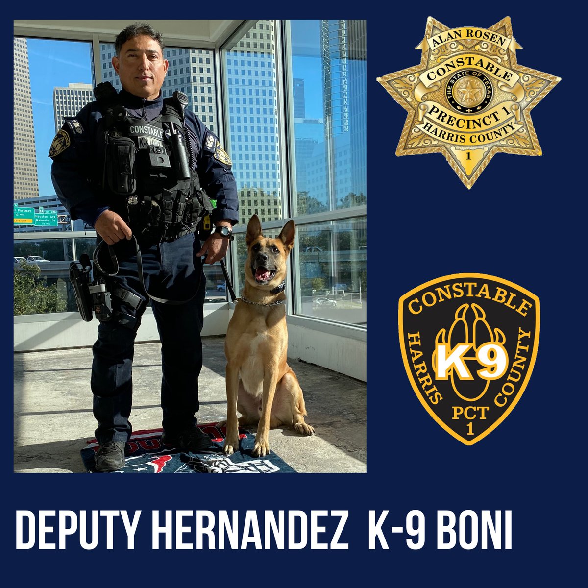 Pct1Constable's tweet image. We're so excited for the #RODEOHOUSTON @K9s4COPs #HardDogFastDog competition tonight! We have 2 #PCT1K9Unit K-9s competing. Deputy Forman &amp;amp; #K9Rudi and Deputy Hernandez &amp;amp; #K9Boni #MotivationMonday #MondayMotivation #k9s4cops #PoliceDogs #K9Unit