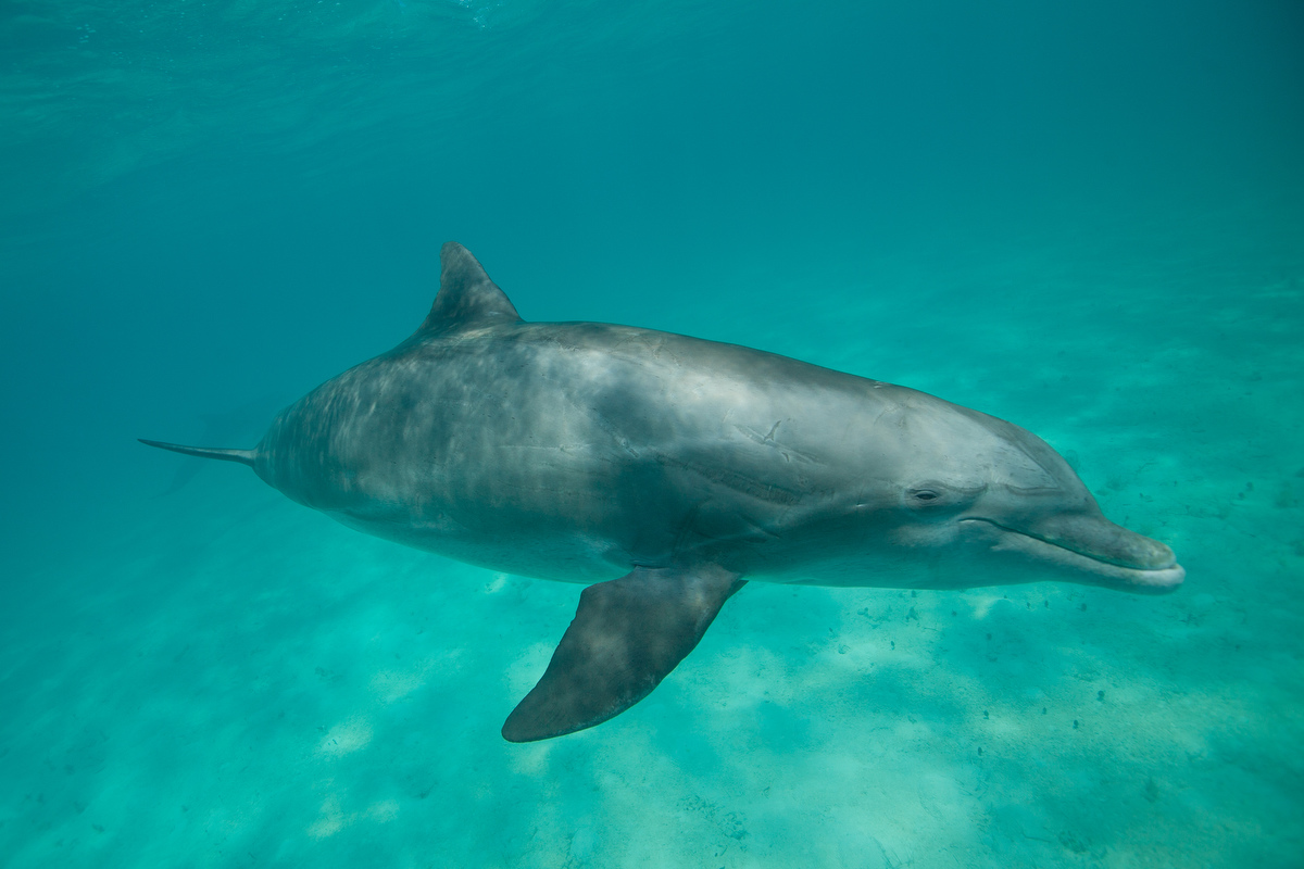 BETurksandCaicos tweet media