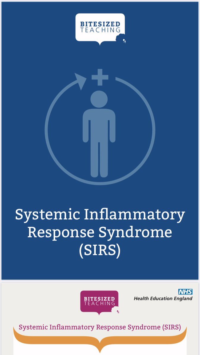 Bitesized Teaching tweet media