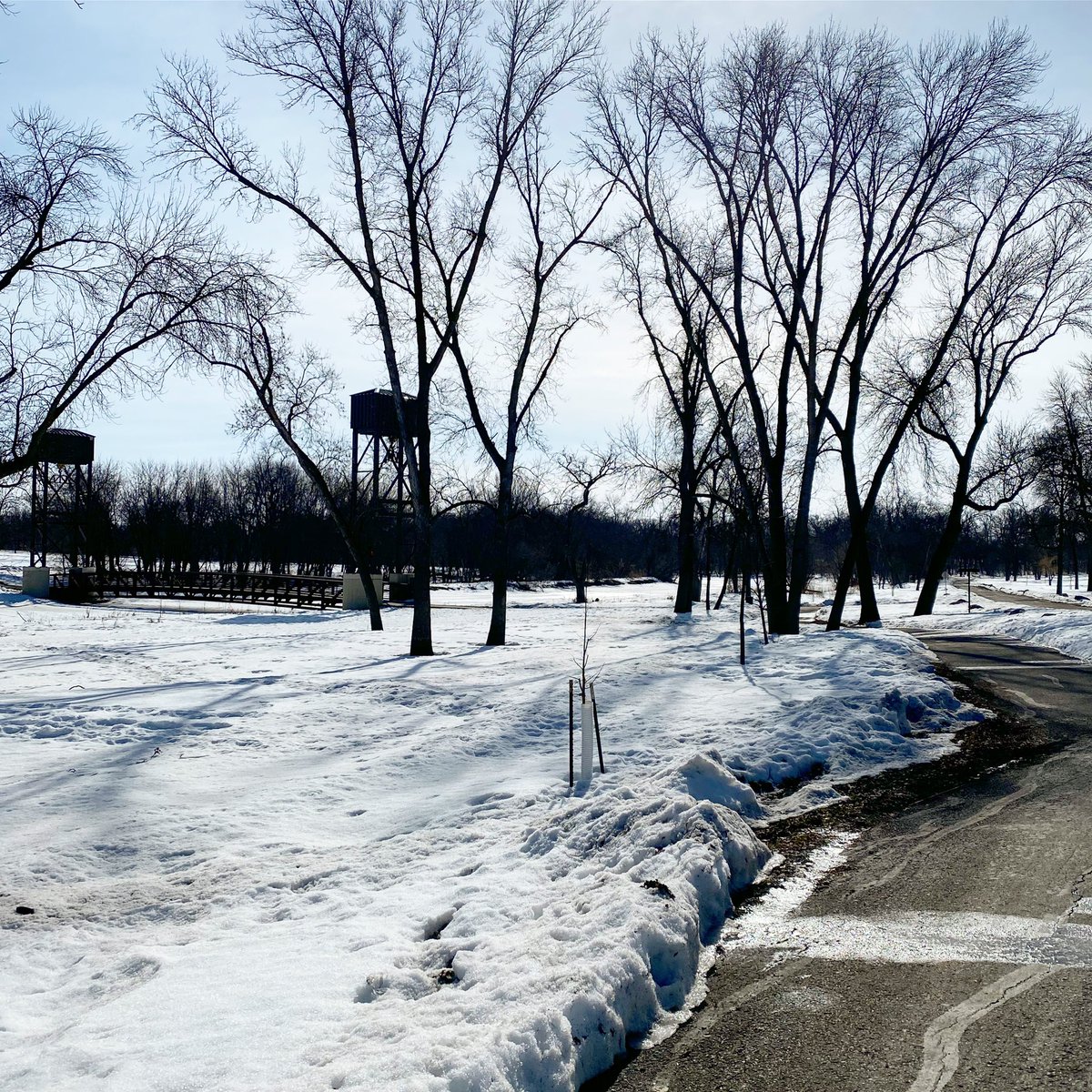 FargoParks's tweet photo. Beautiful winter day at Lindenwood Park. ☀️❄️
#FargoParks #ILoveFargo #FargoWinterFun https://t.co/bgd1SGVBcH
