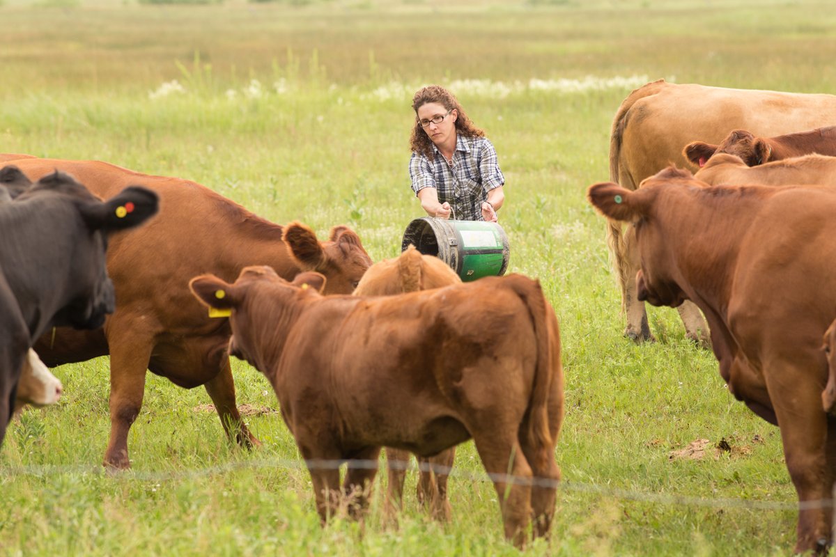 prairiebeef's tweet photo. One of the largest barriers to expanding a beef herd is often the cost of land for hay &amp; pasture. A well-developed grazing plan can help make the most efficient use of the land you do have. Over the next few weeks follow along as we give tips for creating your own grazing plan! https://t.co/7WWyZi8CX2