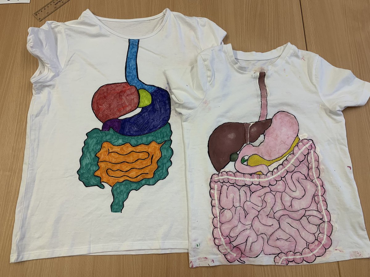 MissPooleRBHS's tweet photo. AMAZING work by 9R/Bi1 with their digestive system homework this week 🤩 Here a just a few examples of the beautiful diagrams and funky T-shirts created by the students. I am one very proud Biology teacher today! #RBHS #Biology #RiviScience https://t.co/qyTshm8wDM