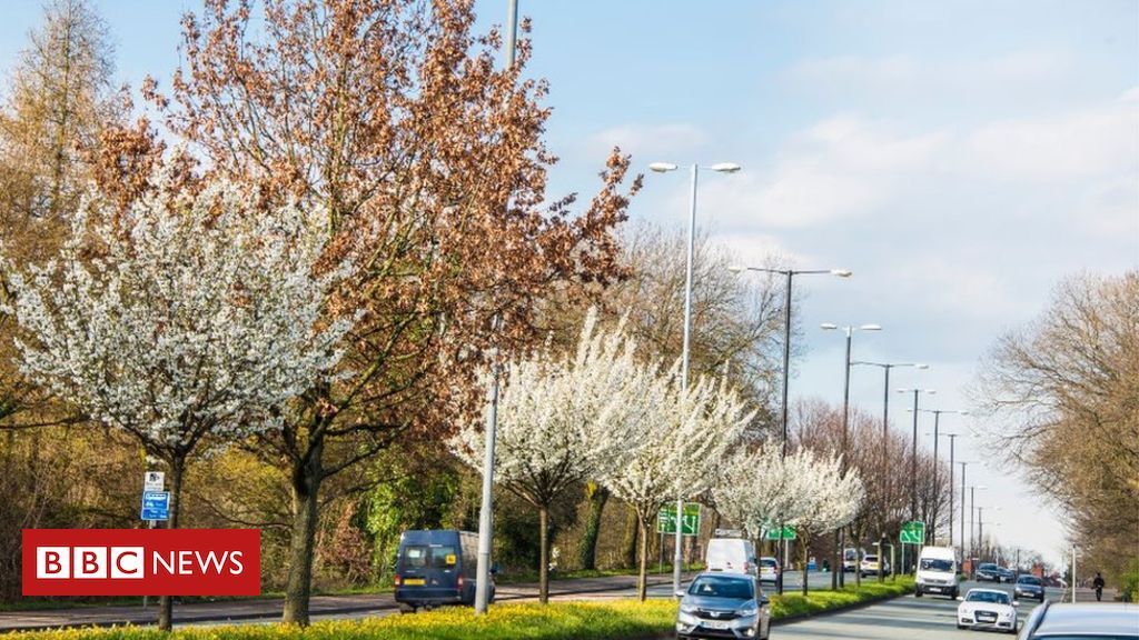 Manchester to benefit as more than 50,000 trees to be planted as part of the government's Urban Tree Challenge Fund.  <a href="/BBCNews/">BBC News (UK)</a> <a href="/CityofTreesMcr/">City of Trees</a>  buff.ly/3bUMh81