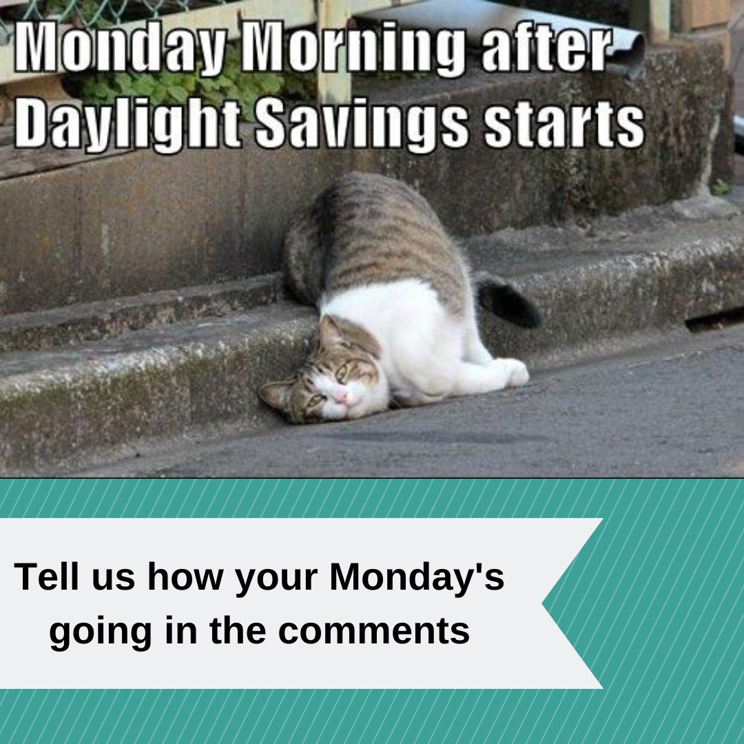 illuminaddental's tweet photo. The only thing worse than a Monday is the Monday after daylight savings starts... How is YOUR day going? 
#illuminadadental #monday #coffeeplease #yeg https://t.co/wU92xIGqIM