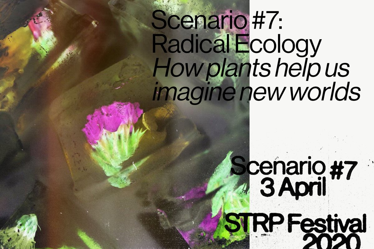 𝗦𝗧𝗥𝗣 𝗙𝗲𝘀𝘁𝗶𝘃𝗮𝗹 𝟮𝟬𝟮𝟬: 𝗦𝗖𝗘𝗡𝗔𝗥𝗜𝗢 #7 Radical Ecology: How plants help us imagine new worlds. Plants and mosses have been living here on earth since millions of years. What can these eco-beings teach us?
→ Read more on strp.nl