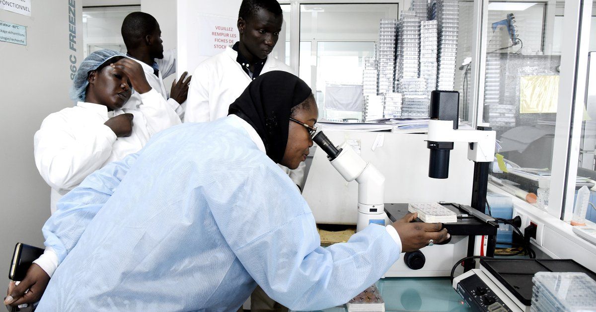 After years spent fighting Ebola, doctors and disease experts must now try to end the coronavirus outbreak via <a href="/TIME/">TIME</a> buff.ly/3cM3vEI