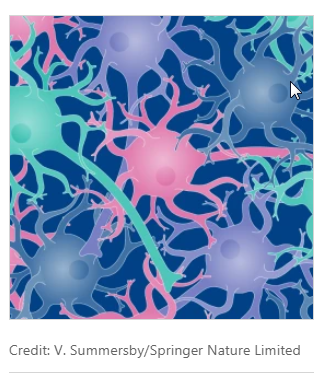 NatRevMCB's tweet photo. #ResearchHighlight of a study @CellCellPress from @FitzpatrickLab @Columbia and Petrucelli lab @MayoClinic showing that #tau PTMs and their crosstalk contribute to the formation of disease-specific intracellular tau #ProteinAggregates.
Read here: https://t.co/jGNuCB8T8e https://t.co/3hWLnnQYEi