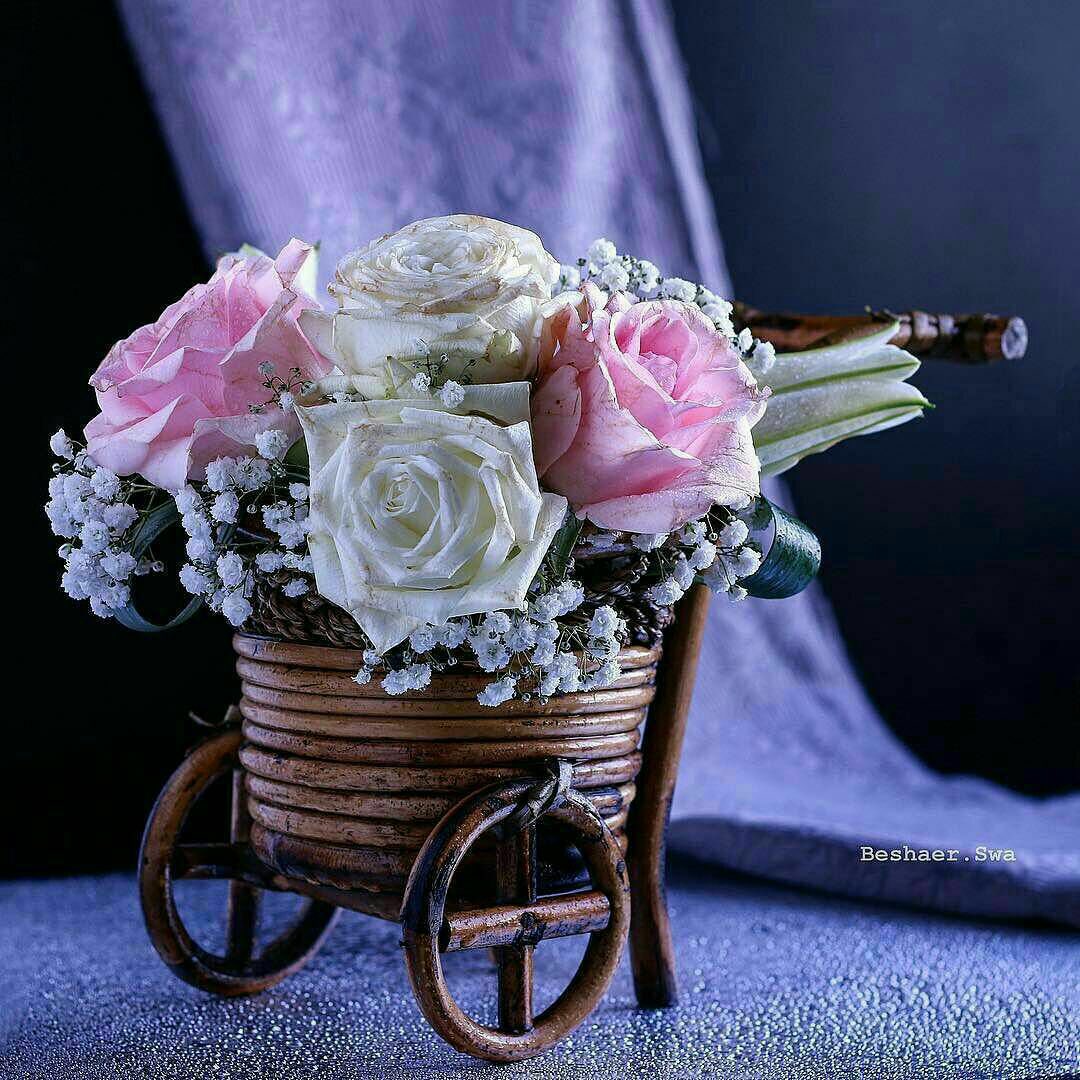 لله ما تمنيناه فما أدركناه..
لله ما فارقناه بعد ما ألِفناه..
لله من فاتنا وما نسيناه..
لله نحن..وإليه راجعون.. 🌸