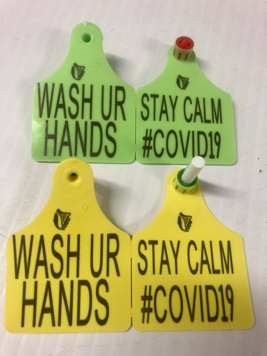CormacTagging's tweet photo. Wash ur Hands tags 🏷 

🤔 Are we onto something here?  

We have gone green &amp; included the harp 👍 

#Coronavirusireland #COVID19 https://t.co/47e7ulSl4E
