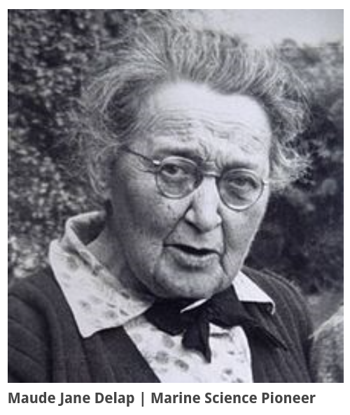 Maude Delap. 1866-1953. Born in Co Donegal but raised on Valentia Island. From a girl, she was a self-taught marine biologist! 1st person to breed jellyfish in captivity, & so observed their full life cycle for 1st time! Also studied plankton! Has a rare anemone named after her!