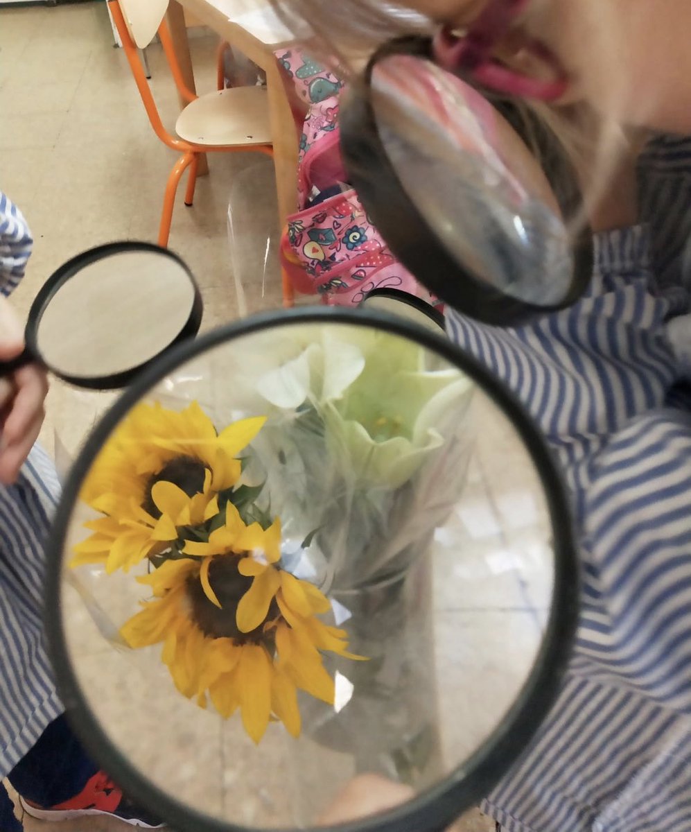 ColSantLluis's tweet photo. A #1rPRI hem observat, dibuixat i reproduït amb fang algunes flors. Ens ha agradat molt conèixer les parts de la planta. 🌱#Colsantlluís https://t.co/tWnHs73gy8