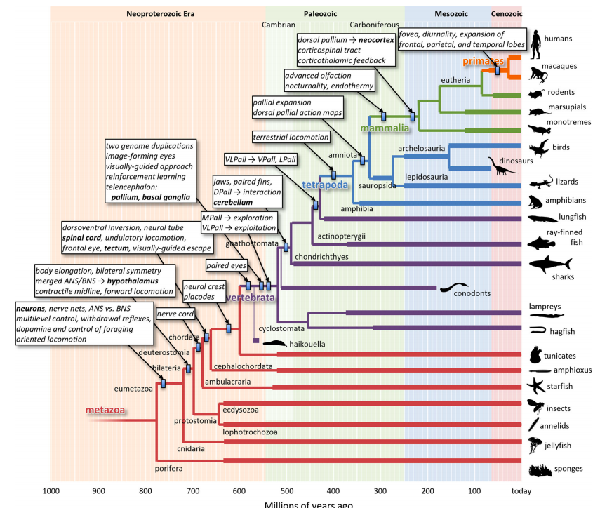 Adam J Calhoun tweet media