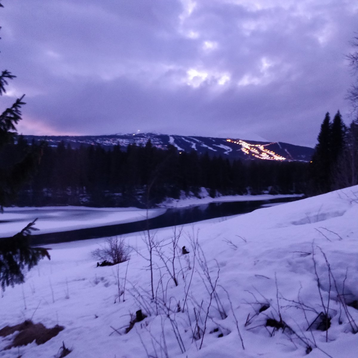 ZanPhoenix's tweet photo. Let the adventure begin 💜⚡

#riseofthephoenix #norway #adventure #burnfree https://t.co/VjHmqKKBvk