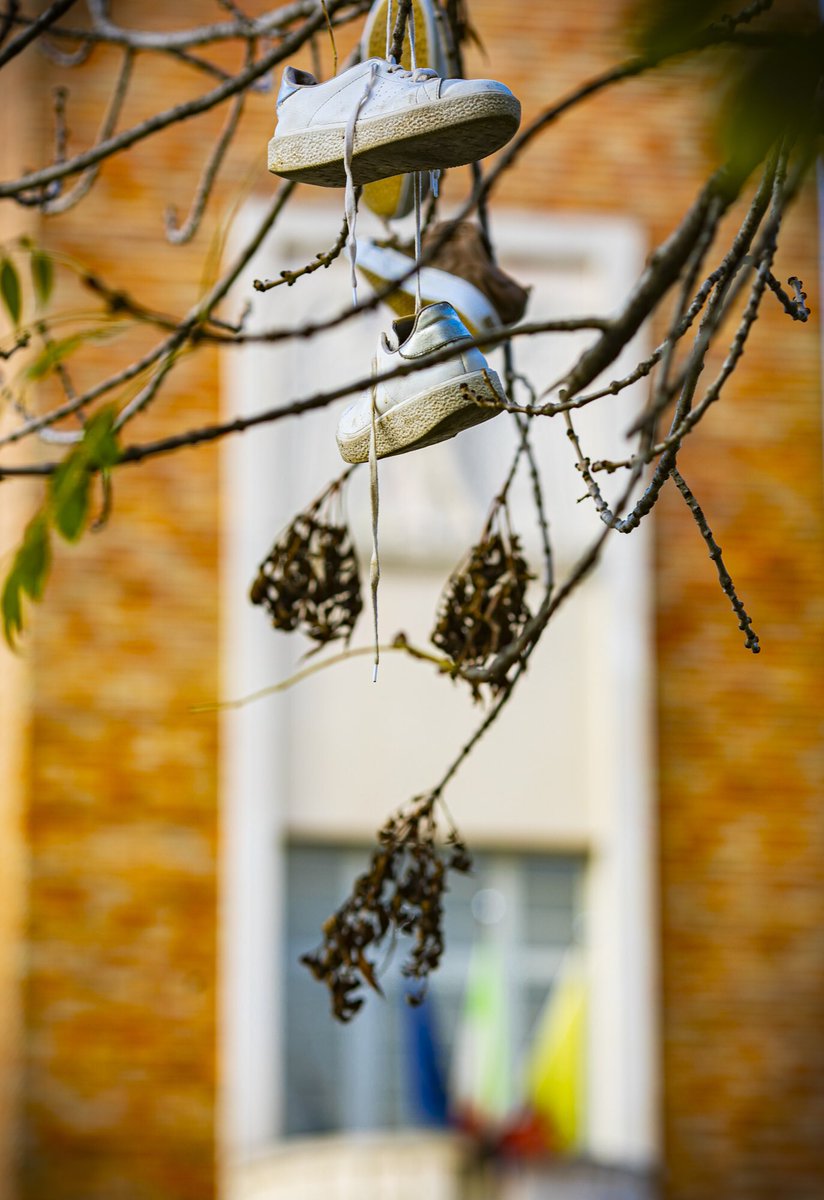 SpazioPolaresco tweet media