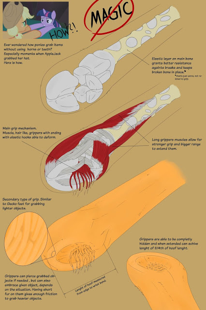 New Post: This Slightly Creepy Theory of How Hooves Work  ift.tt/2xs5b6t #brony #mlp #Mylittlepony