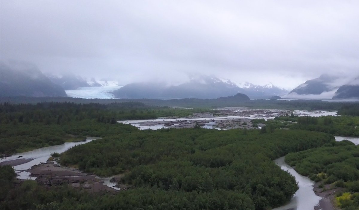 🎞️ Discover Sur le bout de la langue by Vincent Bonnay, a film that will plunge you into the Alaskan wilderness to discover the life of its inhabitants.