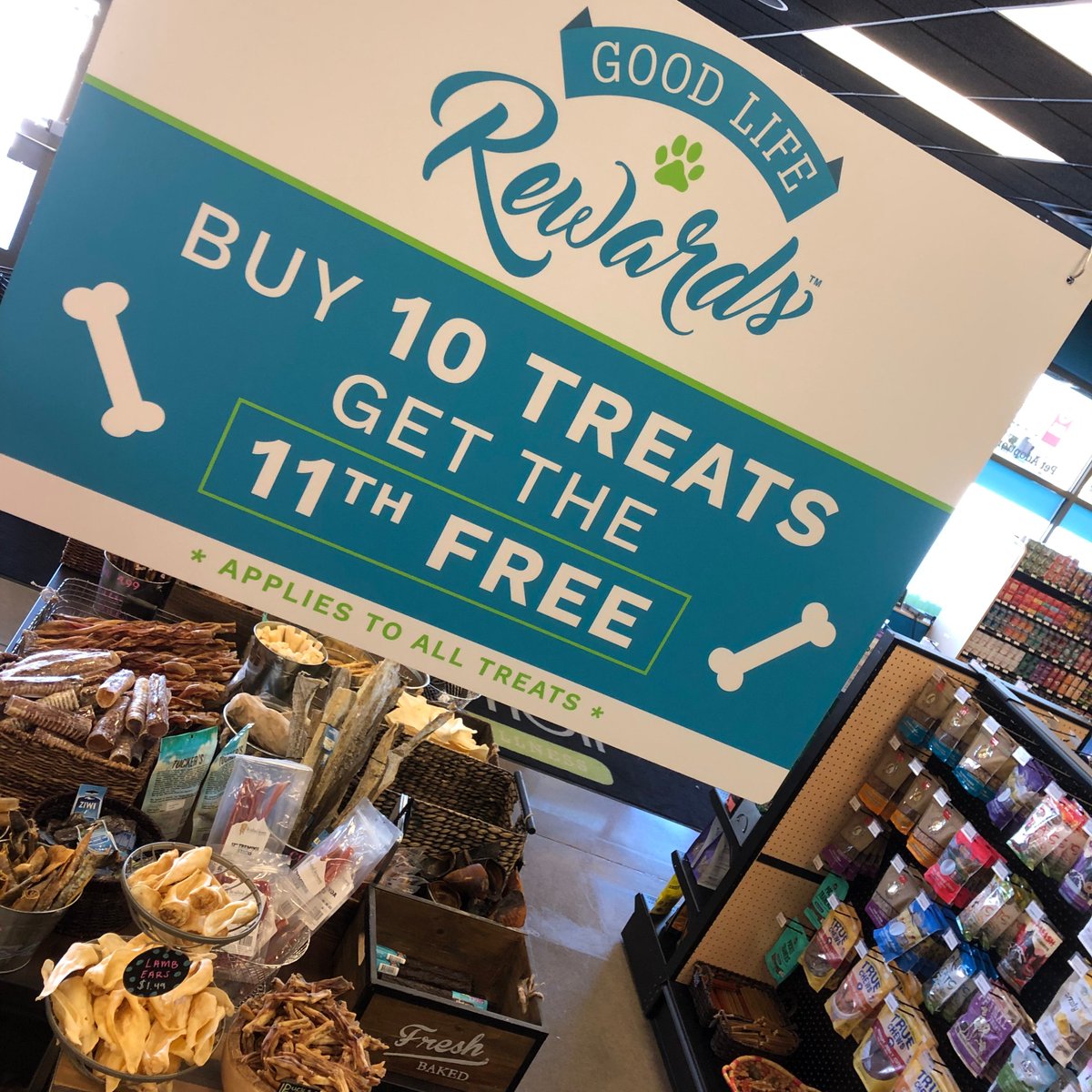 pet_evolution's tweet image. It's Spring Break! Treat your pup to a tasty treat! 

As always, your 11th treat is FREE!

Want to learn more about our Good Life Rewards? Read more here: petevolution.com/goodliferewards