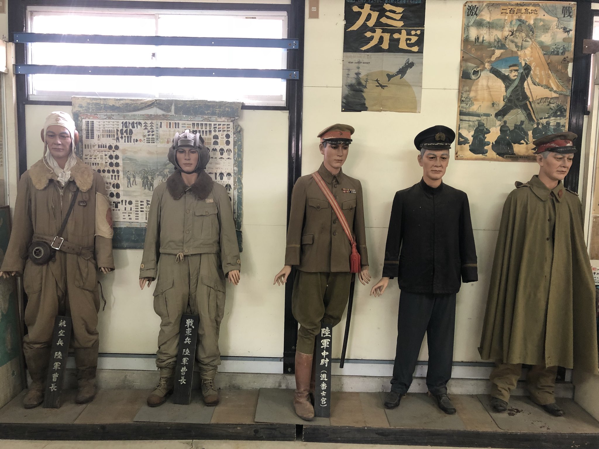 魚交(さめ) on X: 魚交(さめ) on X: