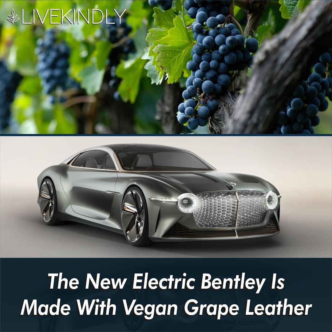 Article by <a href="/livekindlyco/">LIVEKINDLY</a>

Luxury car manufacturer <a href="/BentleyMotors/">Bentley Motors</a> has unveiled a new electric concept car featuring sustainable materials like vegan leather made from grape skins.

The EXP GT is a 19-foot, two-door electric vehicle with self-driving capabilities.

#Vegan #Cars