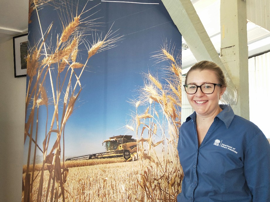 GRDCNorth's tweet photo. Felicity Harris' research on the optimal flowering period of barley #GRDCUpdates #Barellan #phenologyisfun @NSWDPI_AGRONOMY @FelicityHarris6  Paper: https://t.co/iWKFTlyHeP #GRDCUpdates https://t.co/O58ywUALM6