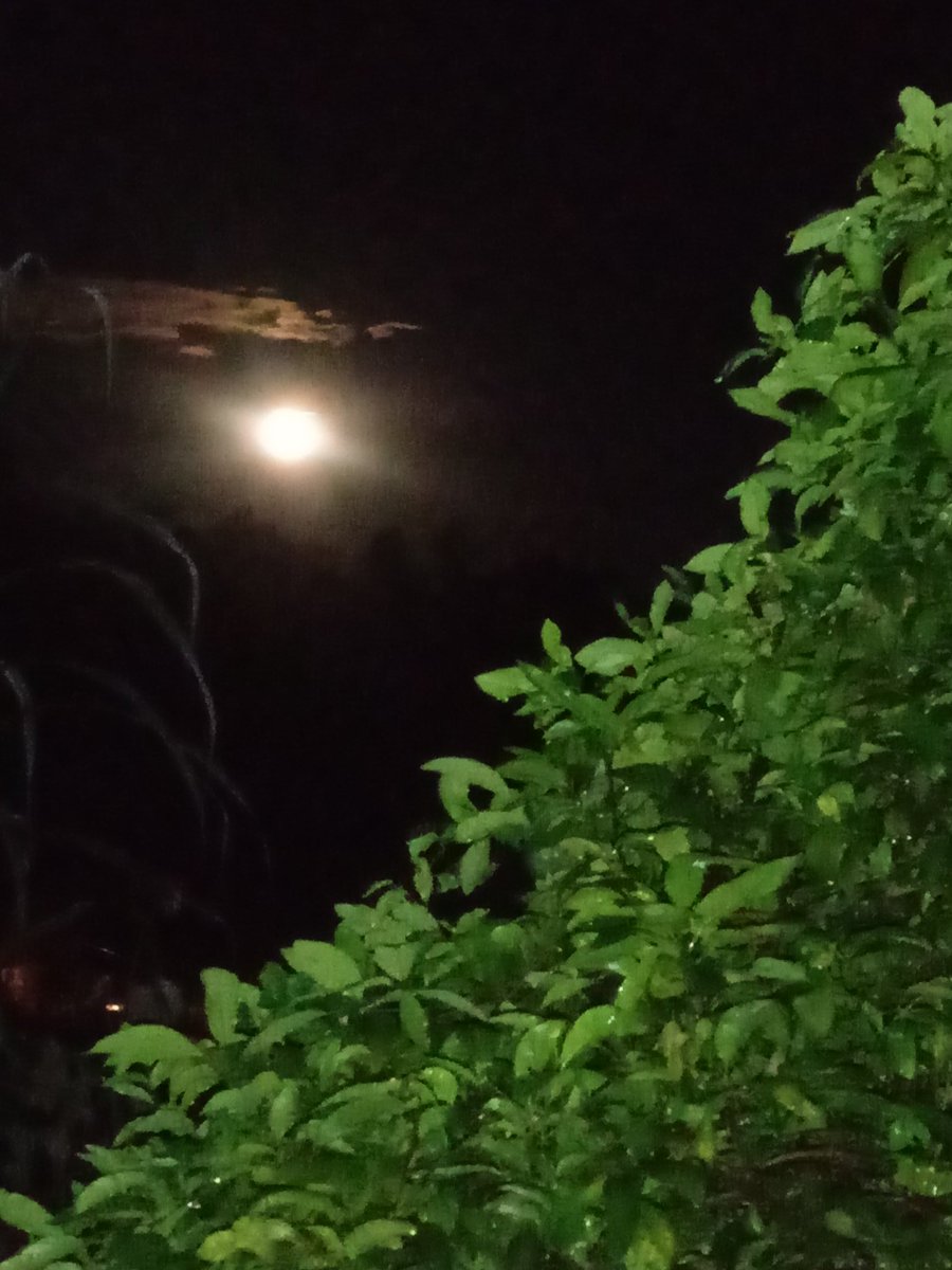 ninhablackmoon's tweet photo. @Astronomiaum Tá incrível😍 https://t.co/BbHLHKV8RD