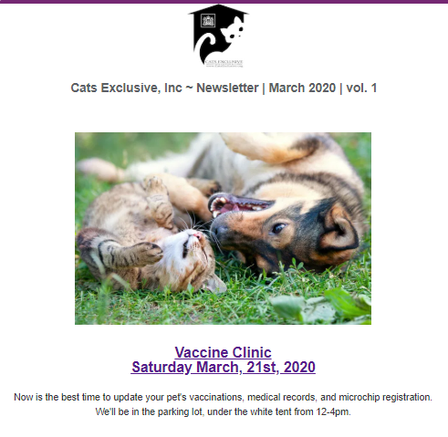 Cats Exclusive tweet media