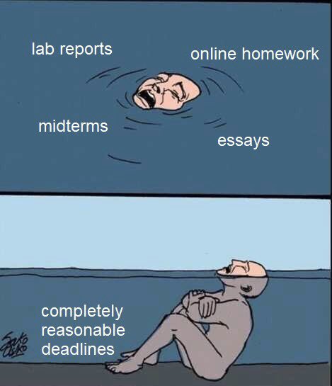 Ternas32's tweet photo. I didn’t need to be attacked like this #collegelife https://t.co/MyDQfwRRXu