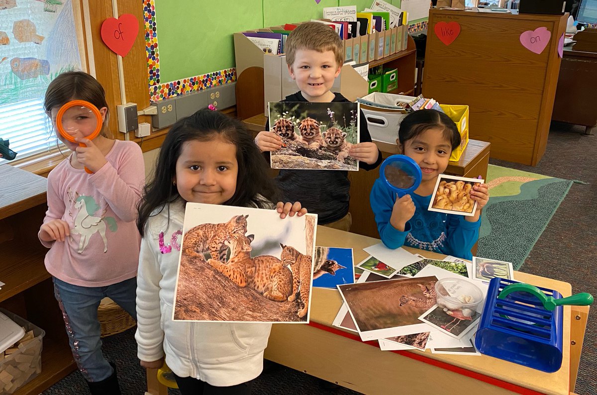 b_eschools's tweet image. These #WestViewSchool scientists are engaging in Science inquiry units. #WeAreBE