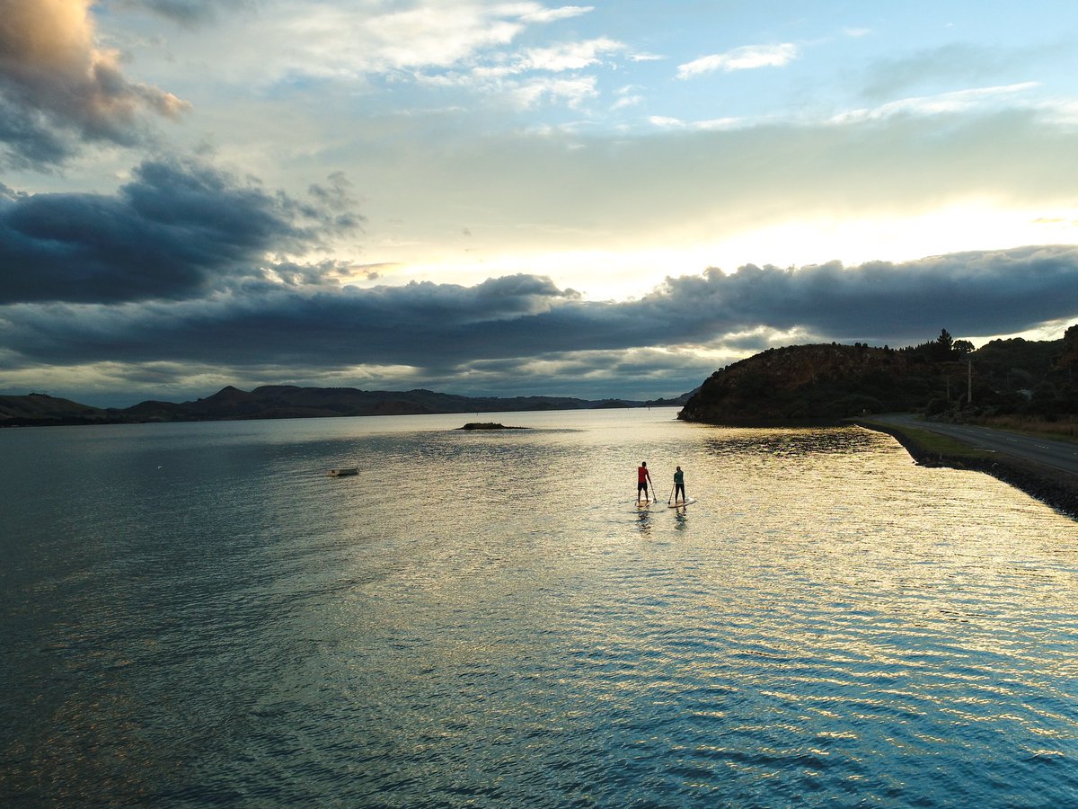 Anna Frost tweet media