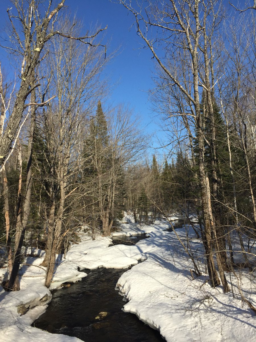 CsconantCarol's tweet photo. Spring is happening #Weld2020 https://t.co/2NT06BE9mi