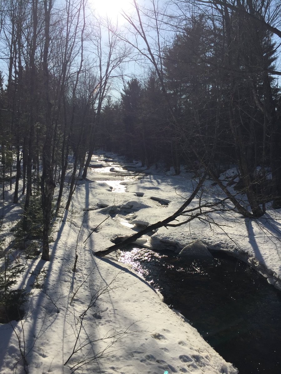 CsconantCarol's tweet photo. Spring is happening #Weld2020 https://t.co/2NT06BE9mi