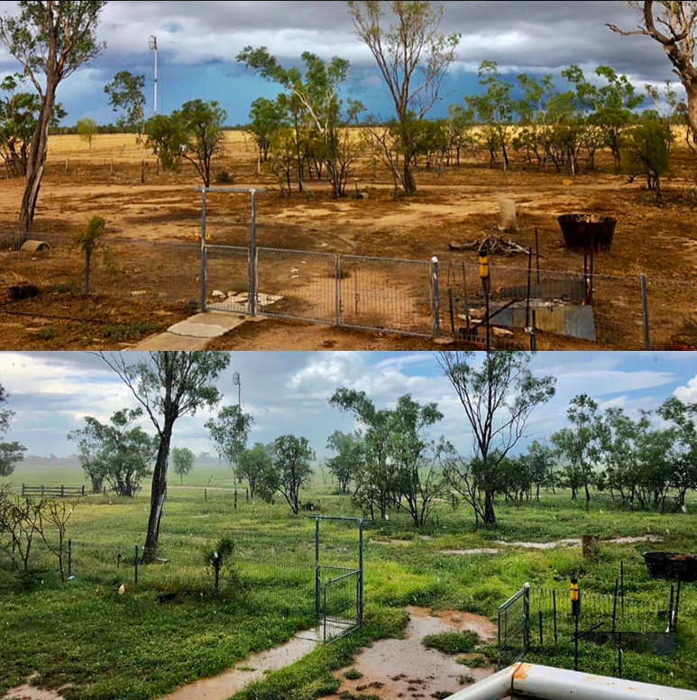 rftte's tweet photo. Check this out! The top photo was taken just after New Years and the bottom photo taken yesterday at Ewen Plains (south of Hughenden QLD)

“A sight for sore eyes”

📸 by Emily Angus

via https://t.co/izgF1d1Inl https://t.co/KK0FSP2R3J