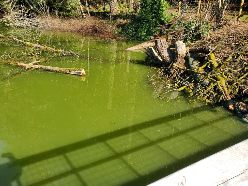 Clark County WA_PH tweet media