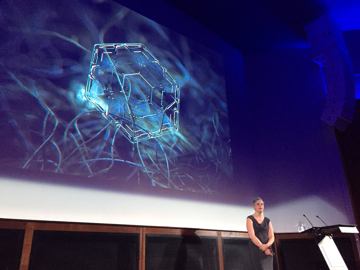 cultureandcc's tweet photo. The Fate of #Antarctica Lecture @flimsin @RGS_IBG #snowflakes #icesheets #icecliffs #iceflows #scenarios https://t.co/7GCzXx9kni