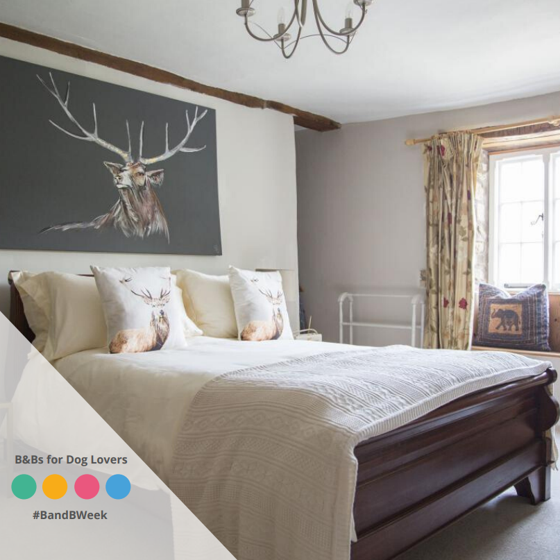 Want a stroll through the idyllic British #countryside with your furry friend? Forthay B&amp;B provides the perfect mix of luxury and convenience for all you #doglovers! Did we mention there’s a heated dog shower for your little friend? Check it out this #bandbweek! 
<a href="/CotswoldsInfo/">The Cotswolds</a>