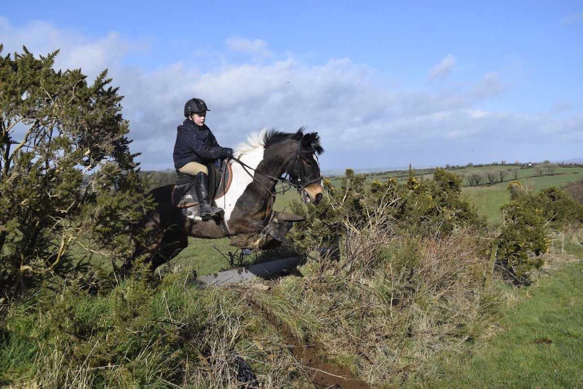 Super Sunday in Tipperary