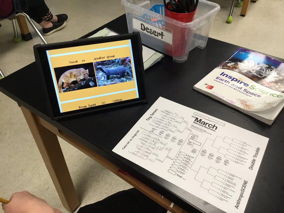 MrsScience26's tweet photo. Mammal March Madness https://t.co/ydyph3RIPh