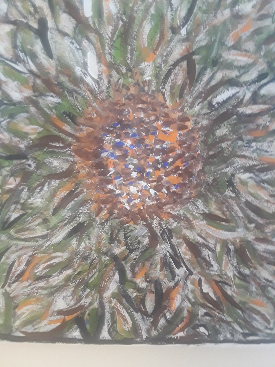 Anthony Archer/MissC tweet media